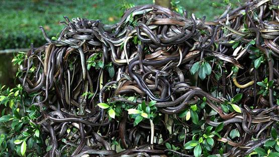 दुनिया की 13 खतरनाक और रहस्यमयी जगहें, जाने की मनाही