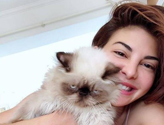 उर्दू सीख रही हैं जैकलीन, सलमान के पापा देते हैं ये सलाह