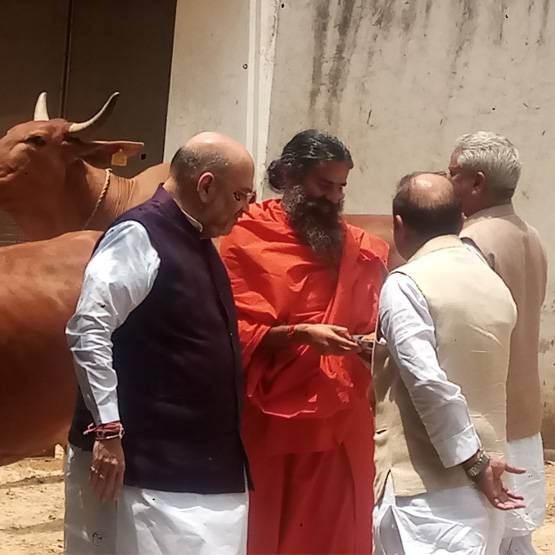 ...अमित शाह ने बाबा रामदेव के फार्महाउस में गायों को खिलाया गुड़