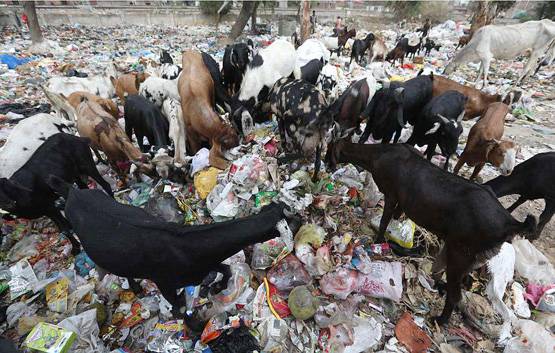 पर्यावरण: प्‍लास्‍ट‍िक वेस्‍ट में दिल्‍ली नंबर 1, ऐसी है विनाशलीला