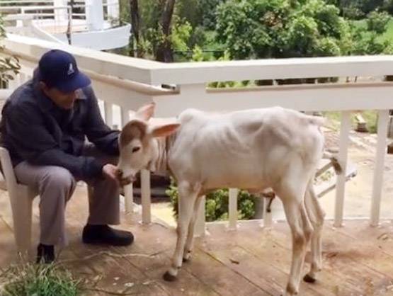 धर्मेंद्र के फॉर्महाउस को लग्जरी होटल बनाना चाहते हैं सनी-बॉबी?