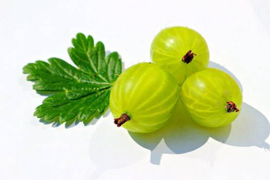 घर पर ऐसे बनाएं आंवले का तेल, बालों की हर समस्या होगी दूर