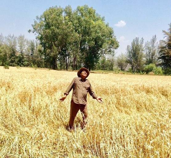 धर्मेंद्र के फॉर्महाउस को लग्जरी होटल बनाना चाहते हैं सनी-बॉबी?