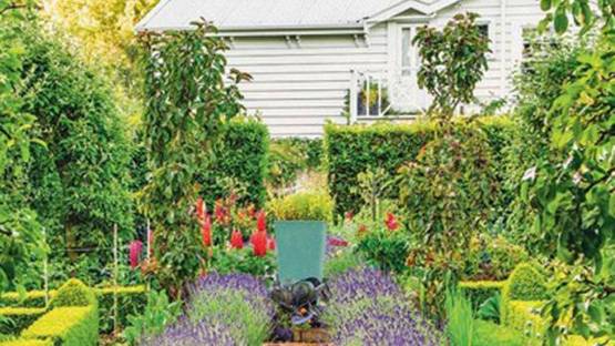 तरक्की और समृद्धि चाहते हैं तो घर में ना लगाएं ये पौधे