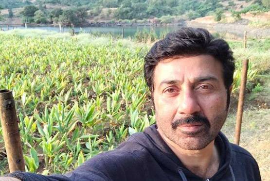 धर्मेंद्र के फॉर्महाउस को लग्जरी होटल बनाना चाहते हैं सनी-बॉबी?