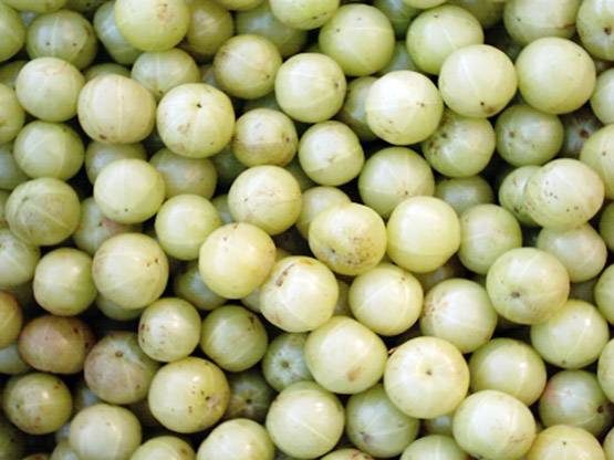 घर पर ऐसे बनाएं आंवले का तेल, बालों की हर समस्या होगी दूर