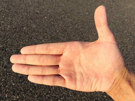 जानें, आपके बारे में क्या बताती हैं हाथ की अंगुलियां