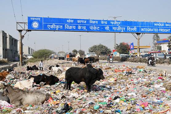 पर्यावरण: प्‍लास्‍ट‍िक वेस्‍ट में दिल्‍ली नंबर 1, ऐसी है विनाशलीला