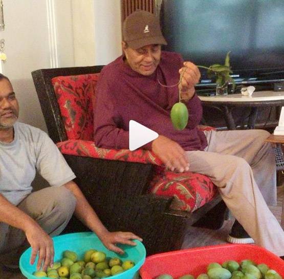 धर्मेंद्र के फॉर्महाउस को लग्जरी होटल बनाना चाहते हैं सनी-बॉबी?