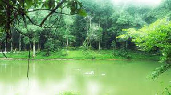 भारत के इस गांव में 12 महीने होती है बारिश, हमेशा छाई रहती है धुंध