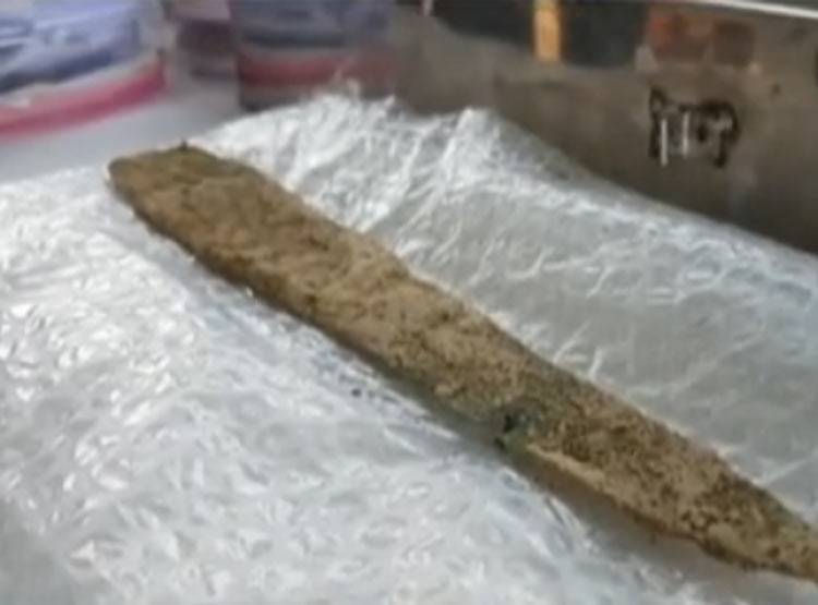 खुदाई में मिले 4000 साल पुराने रथ-मुकुट, क्या है महाभारत से ताल्लुक?