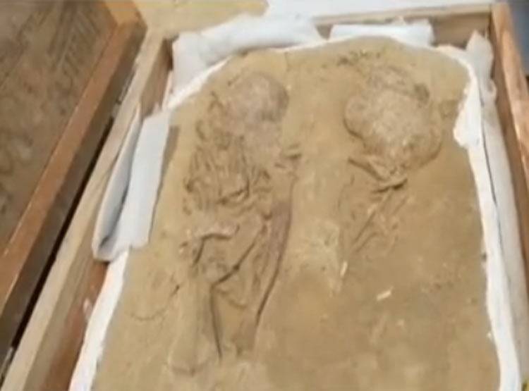 खुदाई में मिले 4000 साल पुराने रथ-मुकुट, क्या है महाभारत से ताल्लुक?