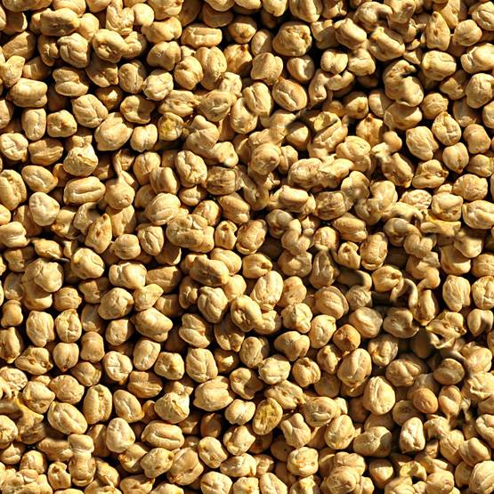 स्वस्थ-ताकतवर रहने के लिए हर पुरुष को खानी चाहिए ये 15 चीजें