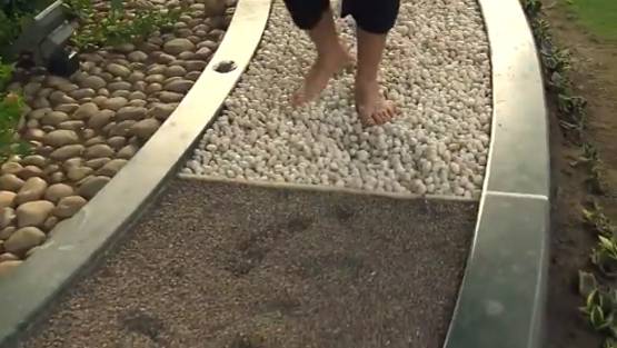 PM मोदी ने पूरा किया फिटनेस चैलेंज, ऐसी होती है उनकी दिनचर्या