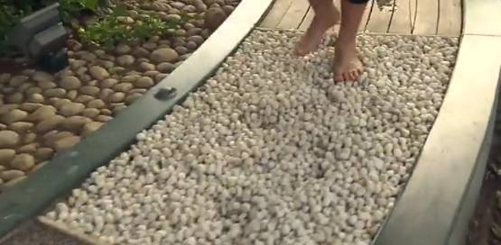 PM मोदी ने पूरा किया फिटनेस चैलेंज, ऐसी होती है उनकी दिनचर्या