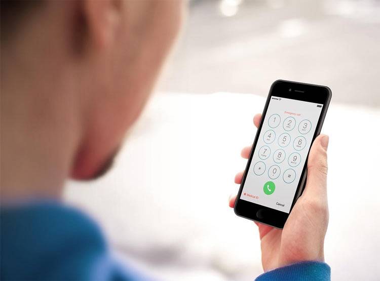 बंदरों ने लूट लिया नोटों से भरा बैग, छत से बरसाते रहे गड्डियां