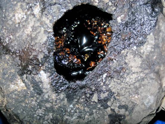 जमीन के भीतर तेल क्यों छुपा रहा है भारत?