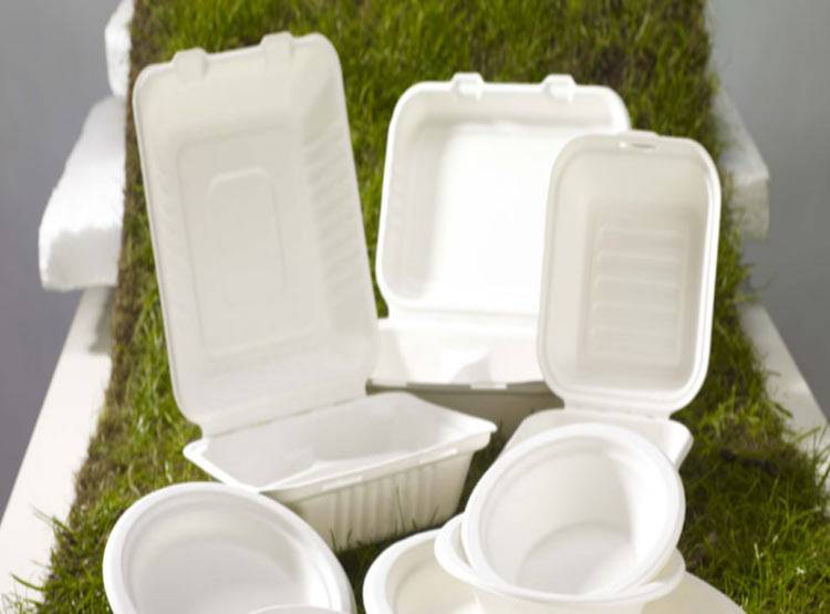 महाराष्ट्र: कल से पॉलीथिन बैन, जानें किस तरह के प्लास्टिक पर है छूट