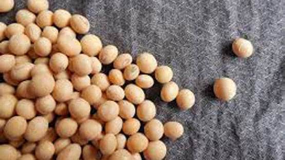 स्वस्थ-ताकतवर रहने के लिए हर पुरुष को खानी चाहिए ये 15 चीजें