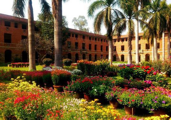 हर फील्ड के अनुसार जानें, देश में कौनसा कॉलेज है नंबर वन