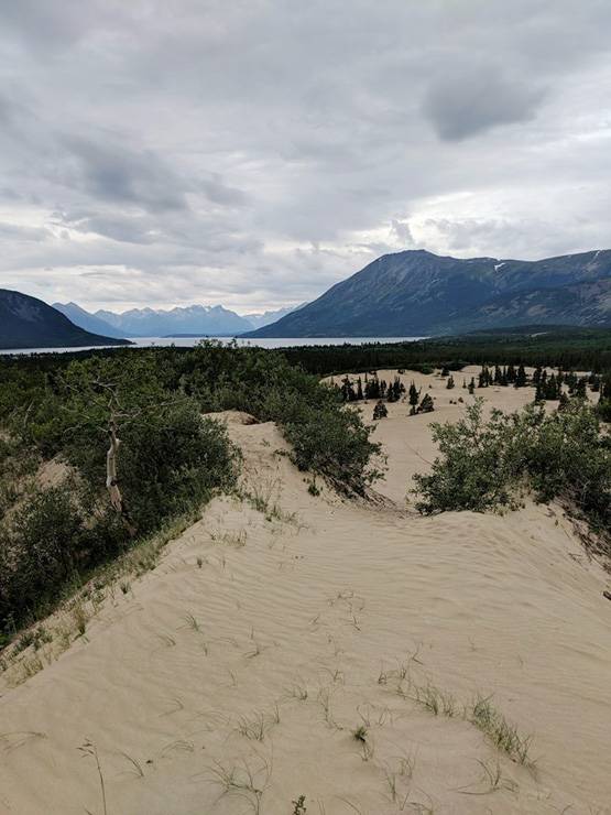 ये है दुनिया का सबसे छोटा रेगिस्तान, सदियों पहले नहीं थी कोई पहचान
