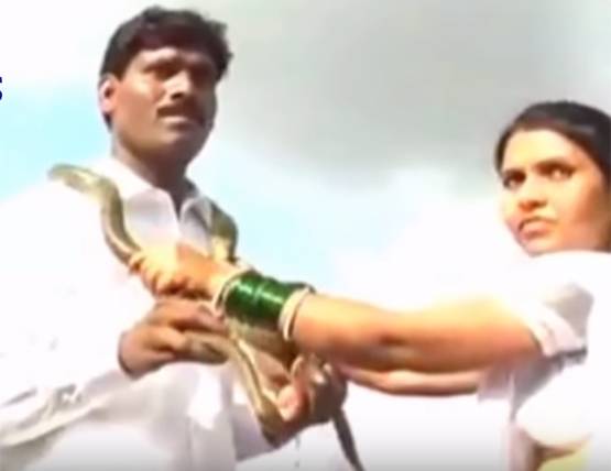 अजब-गजब शादी: दूल्‍हा-दुल्‍हन ने पहनाई 'सांपों की माला'