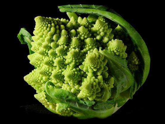 इन चीजों को खाने से कम होता है कैंसर का खतरा