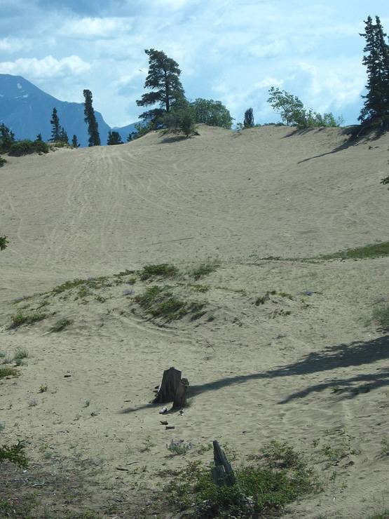 ये है दुनिया का सबसे छोटा रेगिस्तान, सदियों पहले नहीं थी कोई पहचान