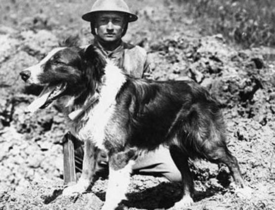 World War I: यूरीन से भीगा कपड़ा मुंह पर बांधते थे सैनिक, ये थी वजह