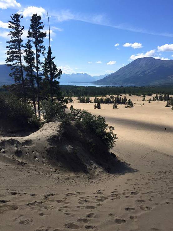 ये है दुनिया का सबसे छोटा रेगिस्तान, सदियों पहले नहीं थी कोई पहचान