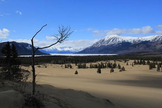 ये है दुनिया का सबसे छोटा रेगिस्तान, सदियों पहले नहीं थी कोई पहचान
