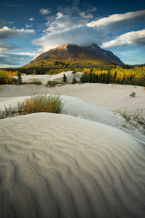 ये है दुनिया का सबसे छोटा रेगिस्तान, सदियों पहले नहीं थी कोई पहचान