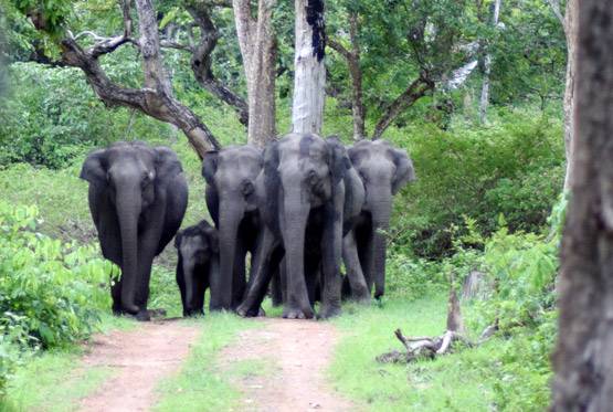 30 की उम्र से पहले हर किसी को घूम लेनी चाहिए ये जगहें