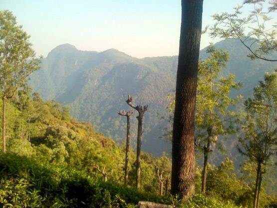 बरसात का मौसम खत्म होने से पहले जरूर घूम लेनी चाहिए ये जगहें