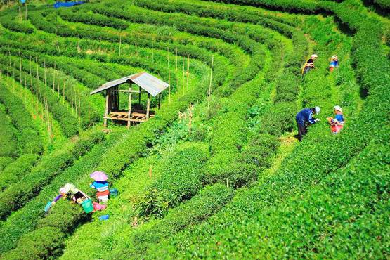 30 की उम्र से पहले हर किसी को घूम लेनी चाहिए ये जगहें