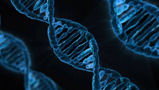 एक्ट्रेस सोनाली बेंद्रे को कैंसर, इन 7 चीजों से बढ़ता है खतरा