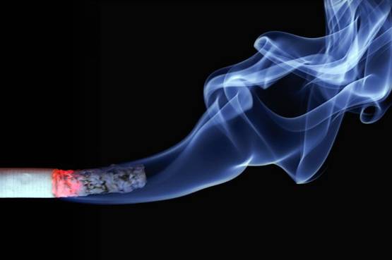 सावधान! आपकी हड्डियों के लिए खतरनाक हो सकती हैं ये चीजें