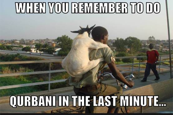 'अब तुम्‍हारे हवाले मटन साथ‍ियो'...देखें बकरीद पर शेयर हो रहे MEME