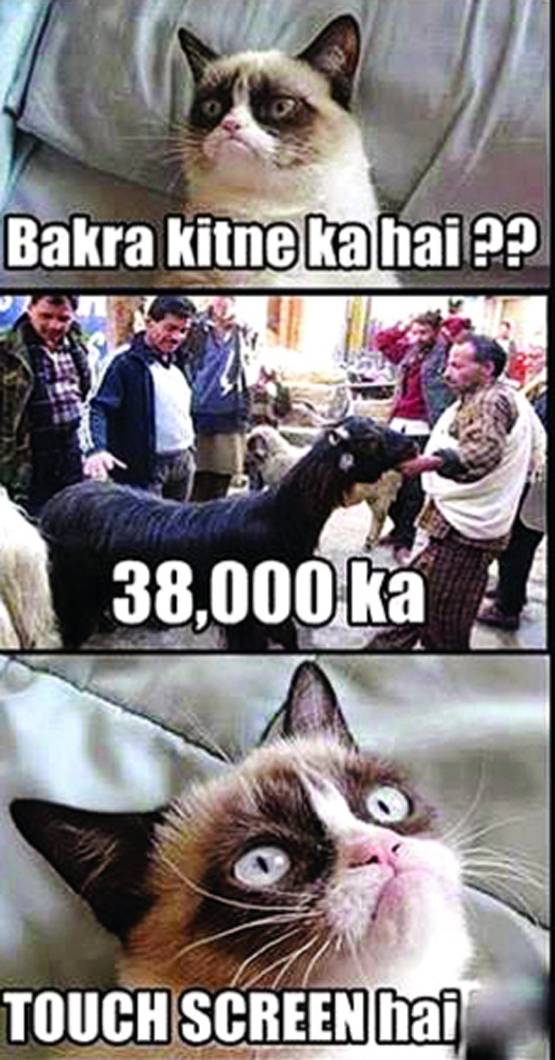 'अब तुम्‍हारे हवाले मटन साथ‍ियो'...देखें बकरीद पर शेयर हो रहे MEME