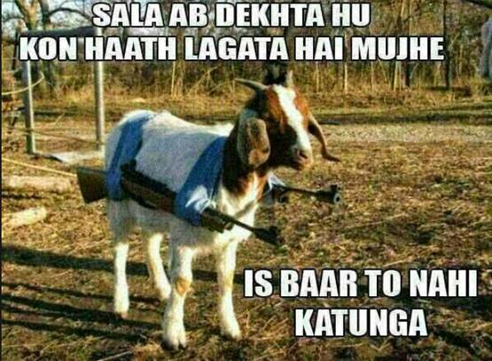 'अब तुम्‍हारे हवाले मटन साथ‍ियो'...देखें बकरीद पर शेयर हो रहे MEME