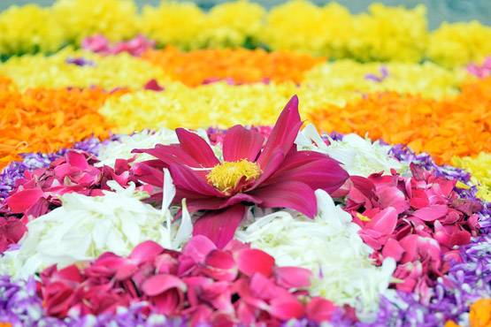 जानें, क्यों मनाया जाता है ओणम का त्योहार? ये है इसका महत्व