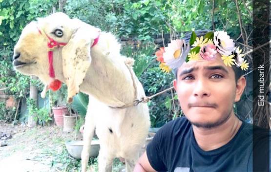 'अब तुम्‍हारे हवाले मटन साथ‍ियो'...देखें बकरीद पर शेयर हो रहे MEME