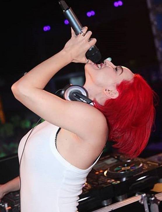 इंटरनेशनल DJ ने कहा- एयर इंडिया स्‍टाफ ने मारा थप्‍पड़, VIDEO वायरल