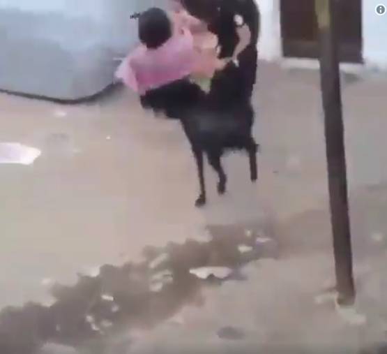 'अब तुम्‍हारे हवाले मटन साथ‍ियो'...देखें बकरीद पर शेयर हो रहे MEME