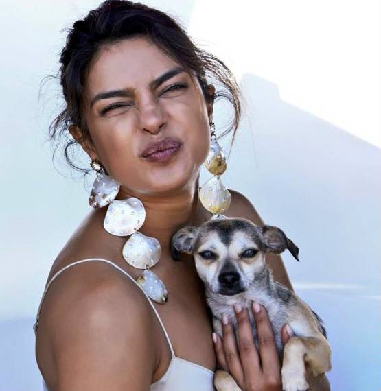 शूटिंग के दौरान प्रियंका की वर्कआउट फोटो पर रणवीर का फनी कमेंट