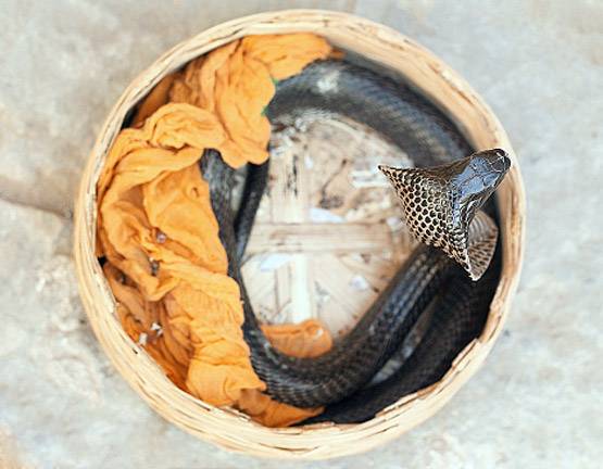 यहां नागपंचमी पर लोग एक-दूसरे पर बरसाते हैं पत्थर