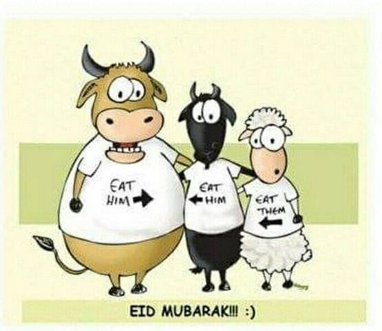 'अब तुम्‍हारे हवाले मटन साथ‍ियो'...देखें बकरीद पर शेयर हो रहे MEME