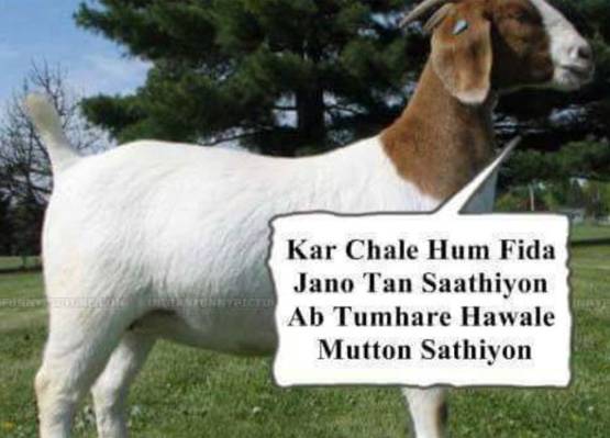 'अब तुम्‍हारे हवाले मटन साथ‍ियो'...देखें बकरीद पर शेयर हो रहे MEME