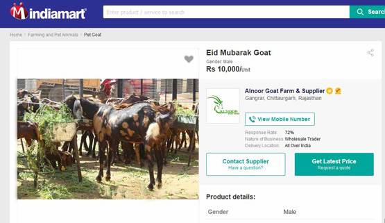 इस बकरीद ऑनलाइन खरीदें बकरा, मिलेगी होम डिलीवरी