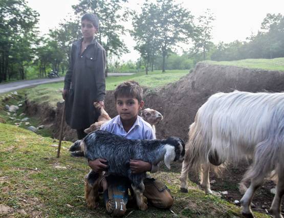 अनुच्छेद 35-ए: जो जम्मू-कश्मीर को बनाता है बाकी राज्यों से अलग